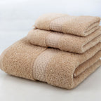 Hotel home towel